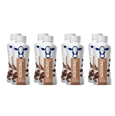 Nutrition Plan - Chocolate High Protein Shake - 30g protein (8 Pack)